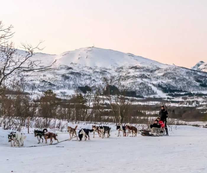 Norway, Dog sledding
