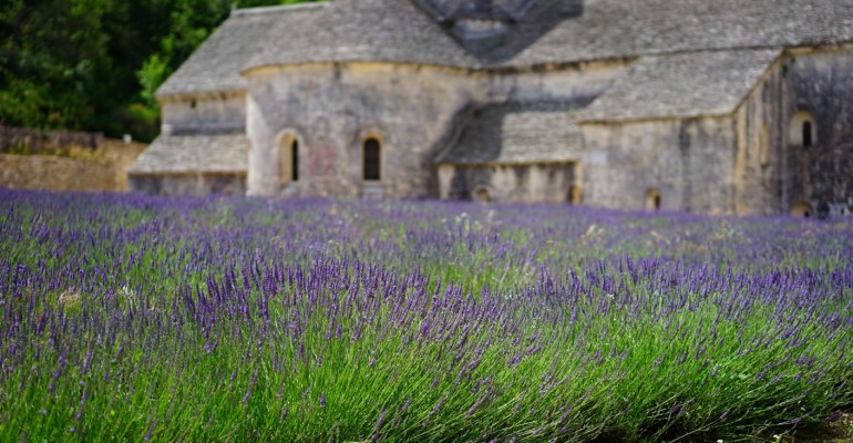 The multiple faces of Provence at hand
